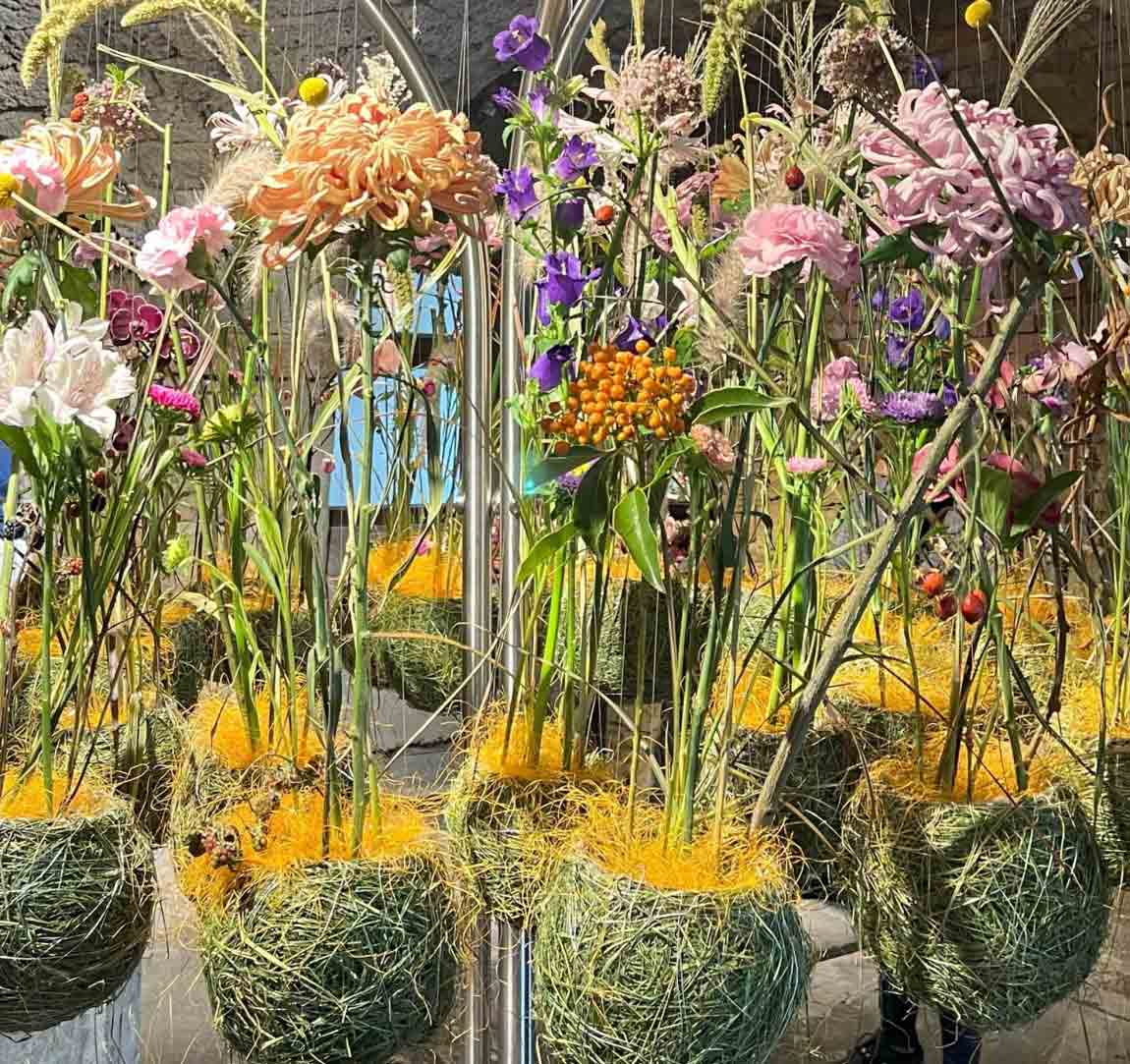Verschiedene bunte Blumen arrangiert in Kugeln aus Moos und gelbem Faden, aufgehängt in einem Ausstellungsraum.